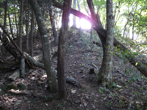 20151014hike (131)